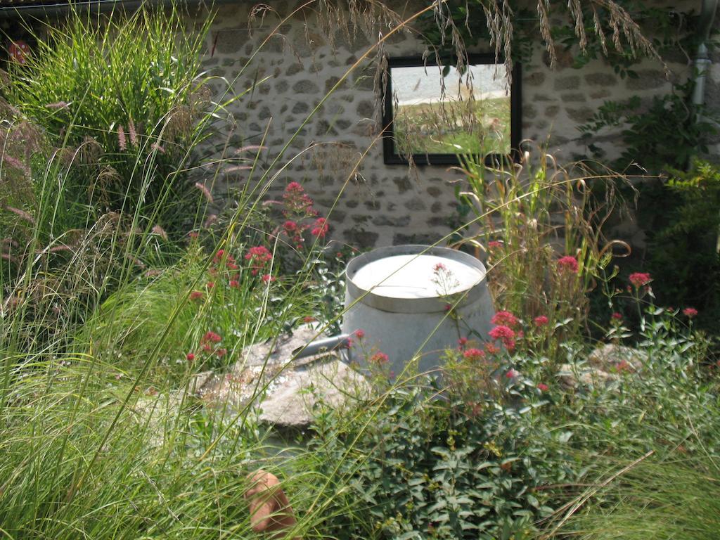 Domaine De La Jarrige Hotel Saint-Vaury Bagian luar foto