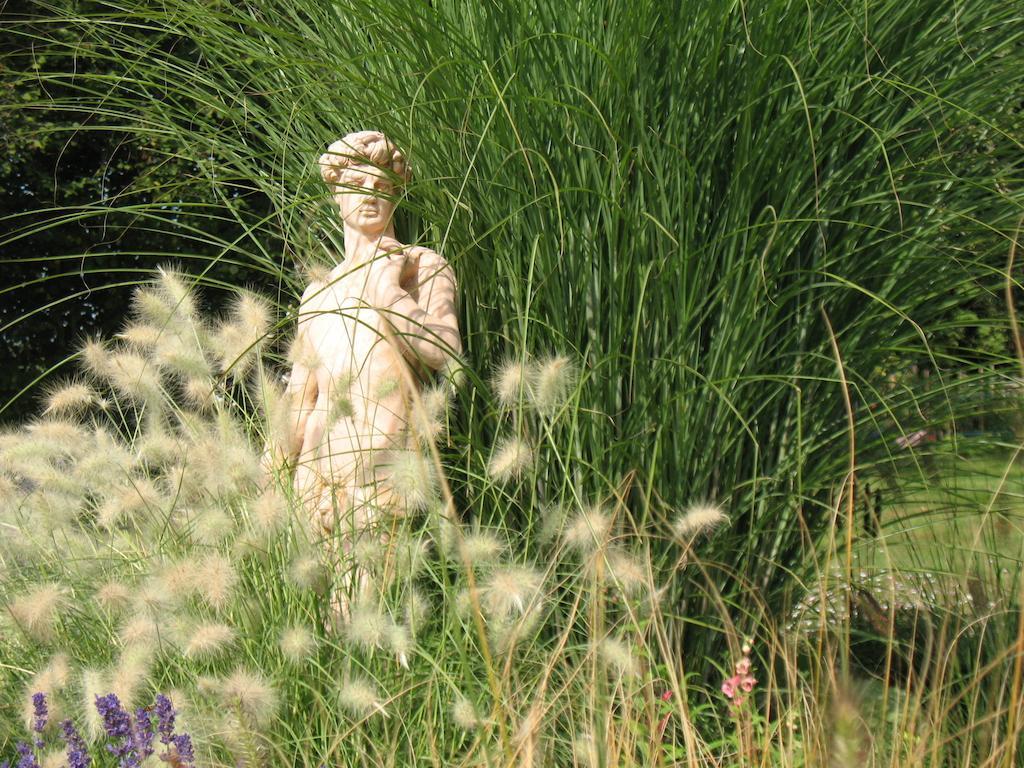 Domaine De La Jarrige Hotel Saint-Vaury Bagian luar foto