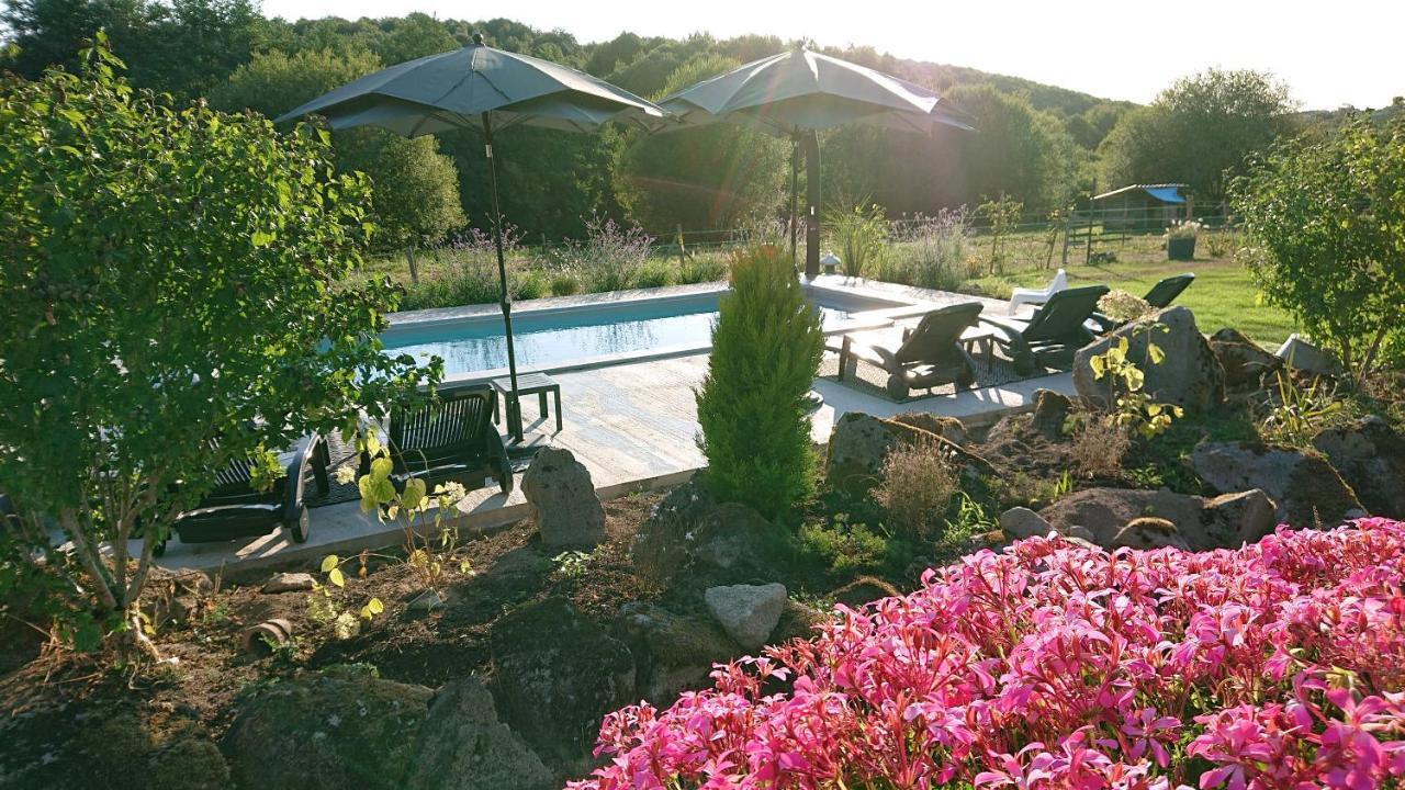 Domaine De La Jarrige Hotel Saint-Vaury Bagian luar foto